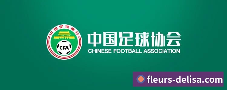 数据分析功能