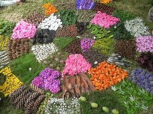 tapis de fleurs